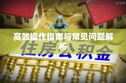 溧阳高效操作指南与常见问题解析