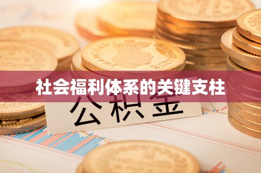 溧阳社会福利体系的关键支柱